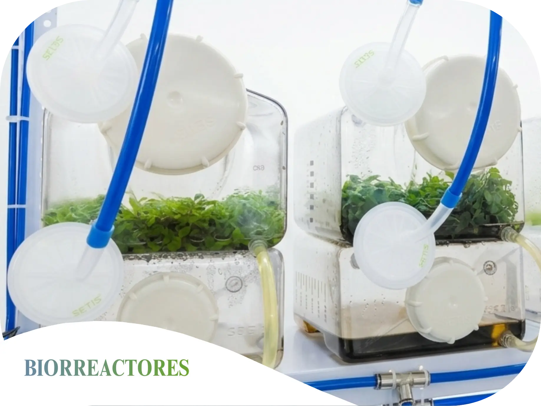 Bioreactores Foreslab