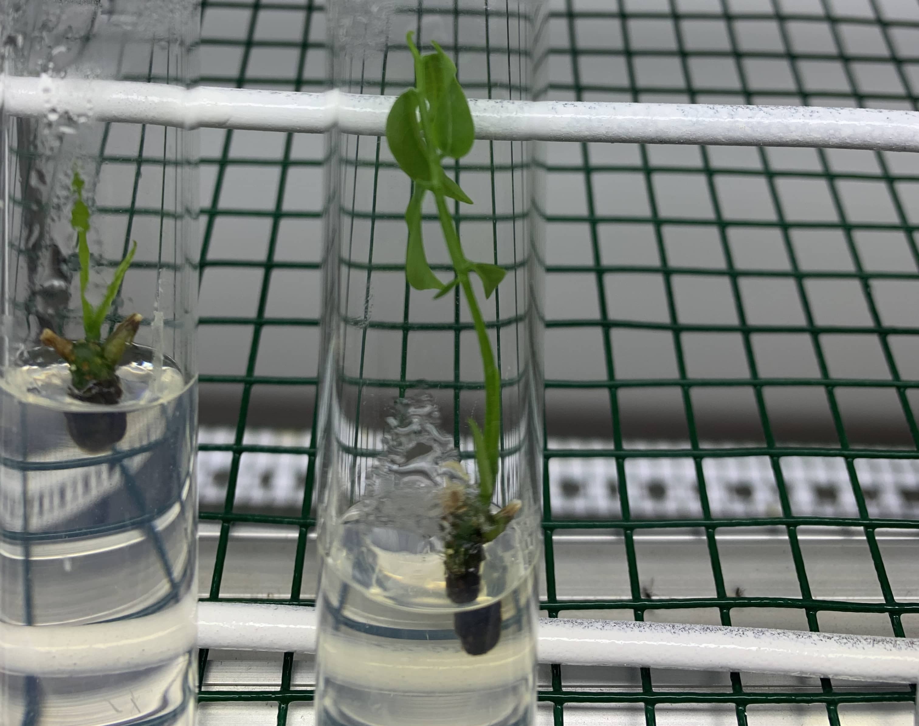 Sunset in the mountains