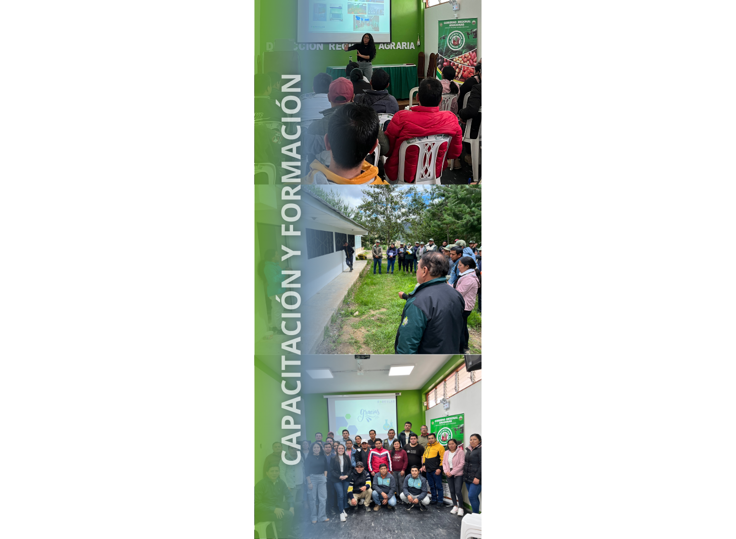 Asesorías, capacitación y formación